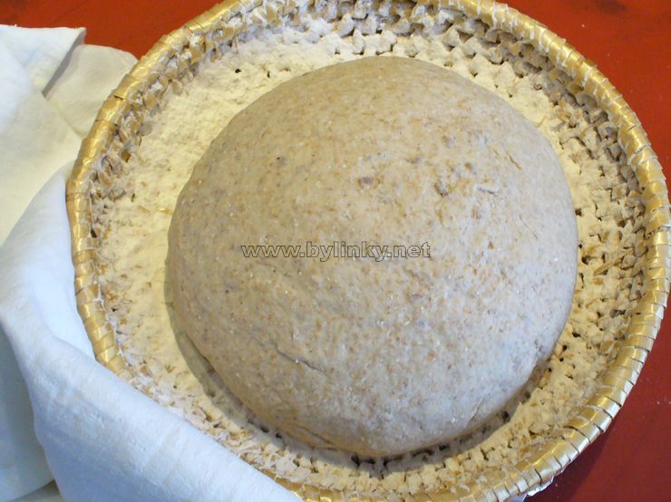 foto kynut� kv�skov�ho chleba