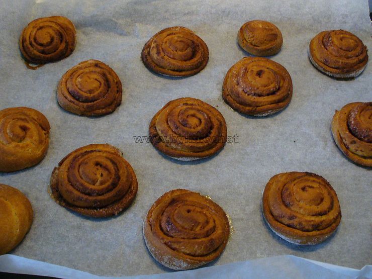 foto �ne�ci se sko�ic�